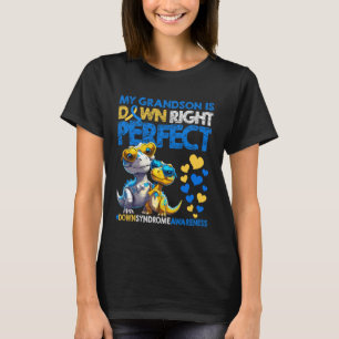 My Grandson is Down Right Perfect Down Syndrome Aw T-Shirt