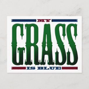 "My Grass Is Blue" Postcard
