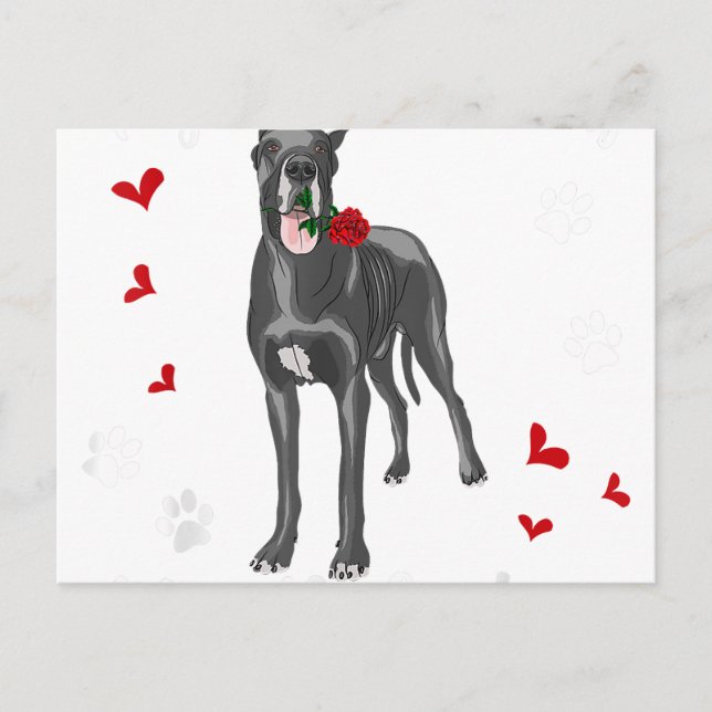 My Great Dane Is My Valentine Great Dane Lover Gif Announcement Postcard (Front)
