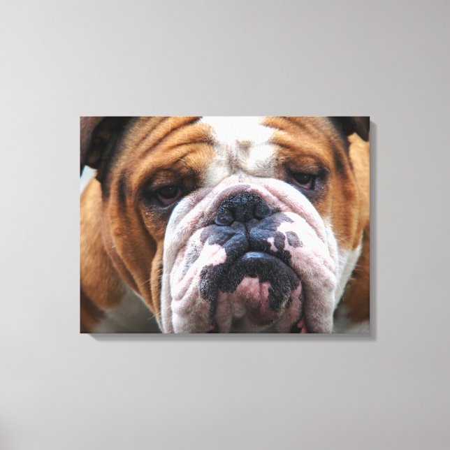 My Grumpy Dog is Saying Bulldog !!! Canvas Print (Front)