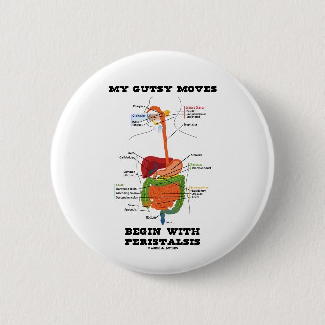 My Gutsy Moves Begin With Peristalsis (Digestive) 6 Cm Round Badge (Front)