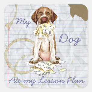 My GWP Ate my Lesson Plan Square Sticker