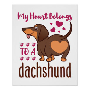 My Heart Belongs to a Dachshund Poster