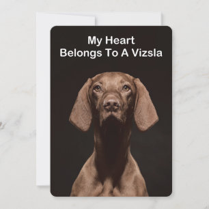 My Heart Belongs To A Vizsla Save The Date