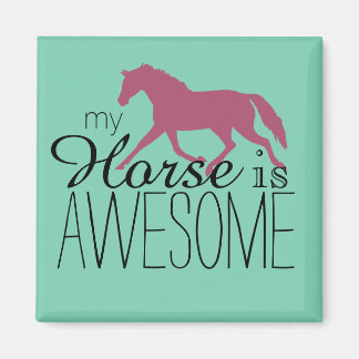 My Horse Is Awesome Equestrian Magnet