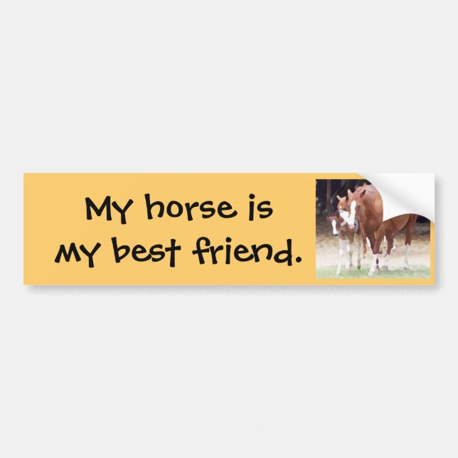 My horse is my best friend sticker (Front)