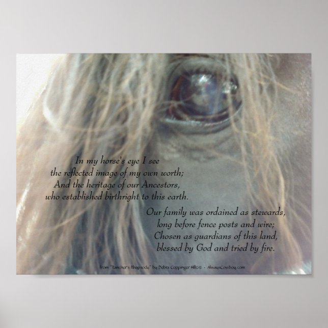My Horse's Eye 11x8.25 matte print uv (Front)