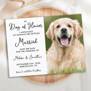My Humans Are Getting Married Custom Dog Wedding Announcement Postcard