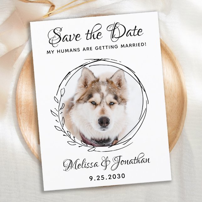 My Humans Are Getting Married Dog Pet Wedding Save Announcement Postcard (Creator Uploaded)