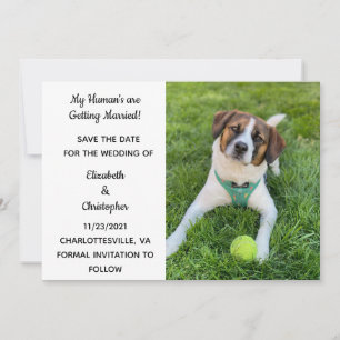 My Human's Are Getting Married Dog Photo Save The Date