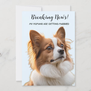 My Humans Are Getting Married Dog Photo Wedding Invitation