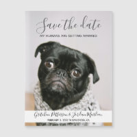 My Humans Are Getting Married Dog Save The Date