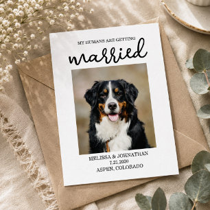 My Humans Are Getting Married Dog Save the Date Postcard