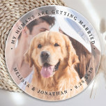 My Humans Are Getting Married Engagement Dog Photo Coaster<br><div class="desc">Celebrate your engagement and give unique dog wedding save the dates with these custom photo, and personalised 'My Humans Are Getting Married" wedding save the date coaster. Customise with your favourite photos, names and date. This custom photo wedding coaster is perfect for engagement party favours, and an alternative to dog...</div>