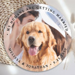 My Humans Are Getting Married Engagement Dog Photo Round Paper Coaster<br><div class="desc">Celebrate your engagement and give unique dog wedding save the dates with these custom photo, and personalised 'My Humans Are Getting Married" wedding save the date coaster. Customise with your favourite photos, names and date. This custom photo wedding coaster is perfect for engagement party favours, and an alternative to dog...</div>
