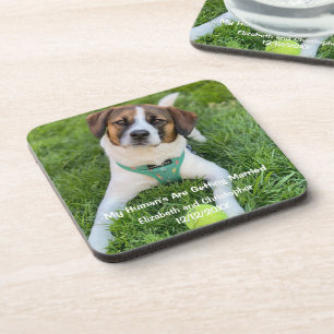 My Human's Are Getting Married Engagement Photo  Coaster