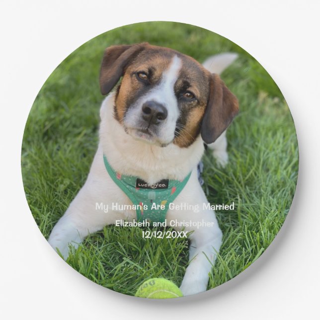 My Human's Are Getting Married Engagement Photo   Paper Plate (Front)