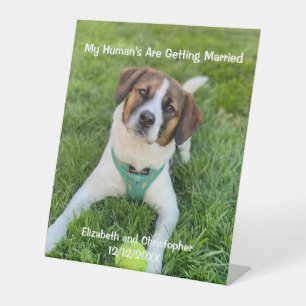 My Human's Are Getting Married Engagement Photo  Pedestal Sign