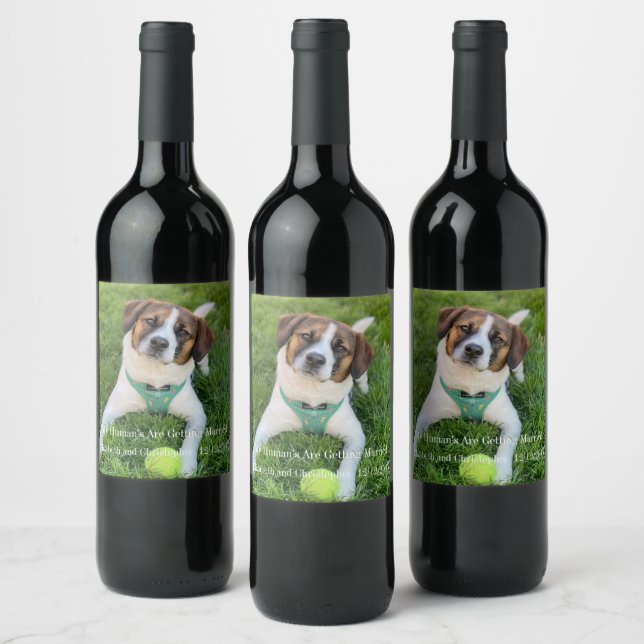 My Human's Are Getting Married Engagement Photo Wine Label (Bottles)