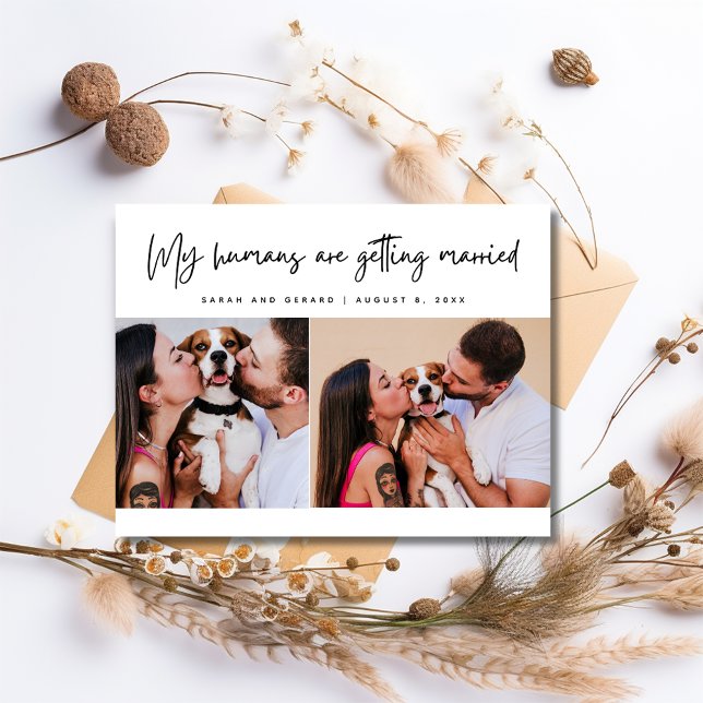 My Humans Dog Photo Wedding Save the Date Announcement Postcard (My Humans Dog Photo Wedding Save the Date Announcement Postcard)