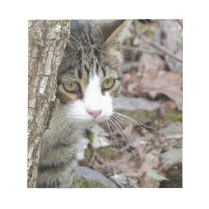 My Hunting Cat Notepad
