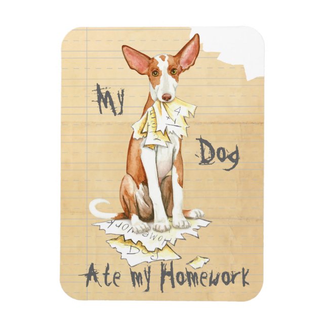 My Ibizan Hound Ate My Homework Magnet (Vertical)