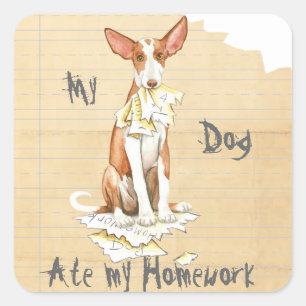 My Ibizan Hound Ate My Homework Square Sticker