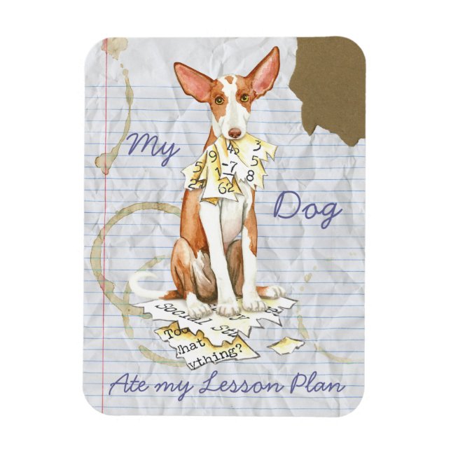 My Ibizan Hound Ate My Lesson Plan Magnet (Vertical)