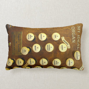 My ideal organ lumbar pillow