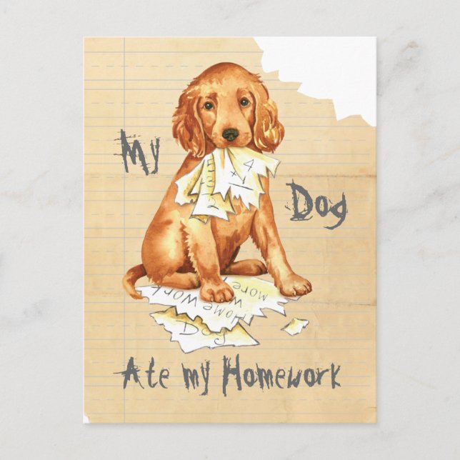My Irish Setter Ate my Homework Postcard (Front)