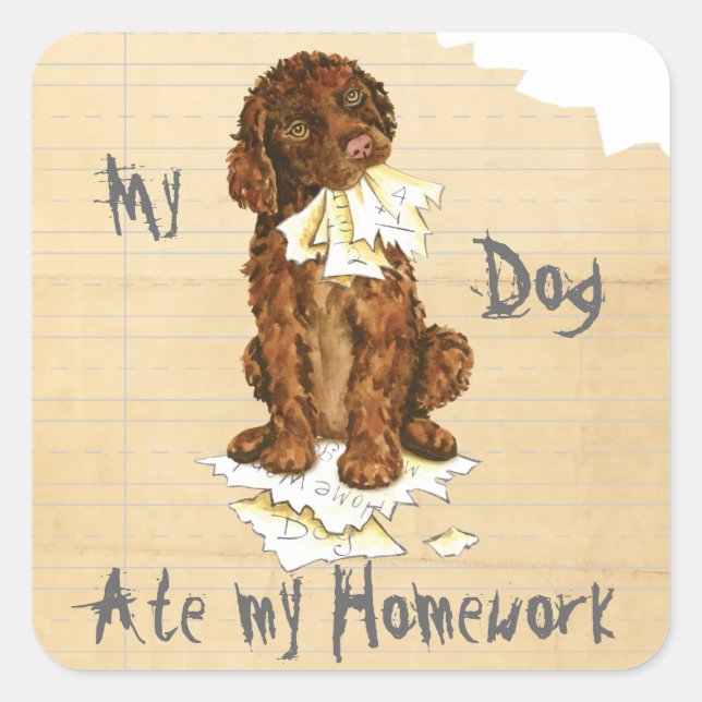 My Irish Water Spaniel Ate My Homework Square Sticker (Front)