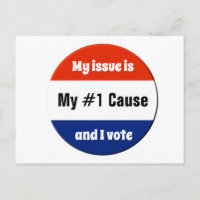My Issue Election Voter