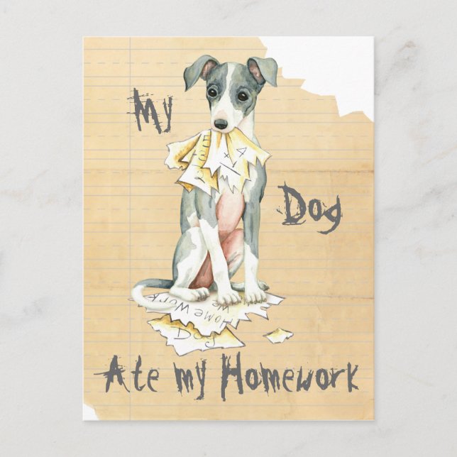 My Italian Greyhound Ate My Homework Postcard (Front)