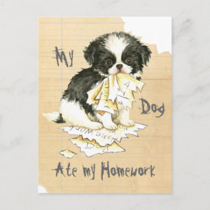My Japanese Chin Ate My Homework Postcard