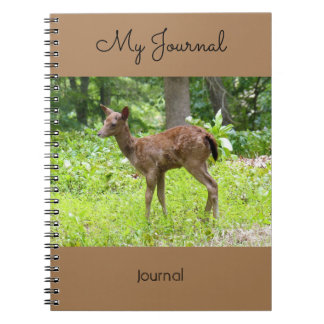 My Journey - journal