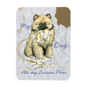 My Keeshond Ate My Lesson Plan Magnet