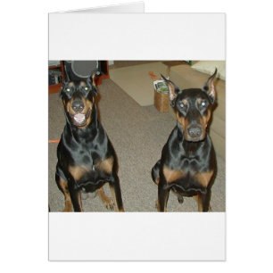 My kids