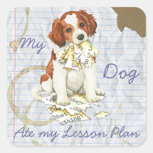 My Kooiker Ate My Lesson Plan Square Sticker