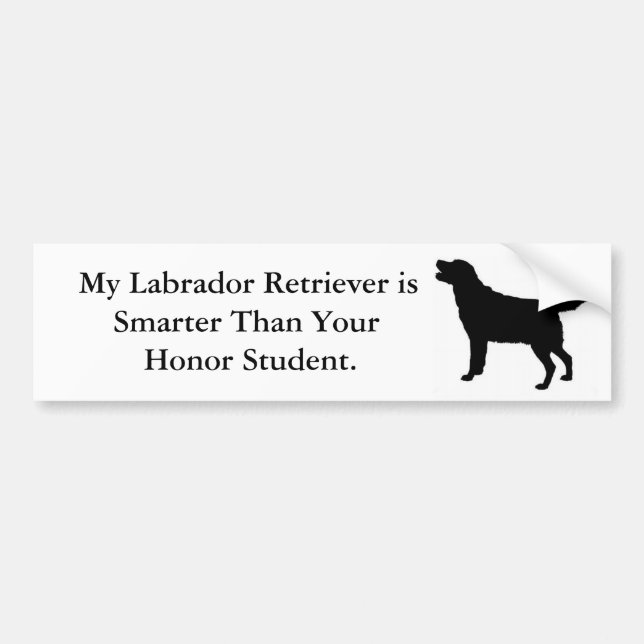 My Labrador Retriever is Smarter Bumper Sticker (Front)
