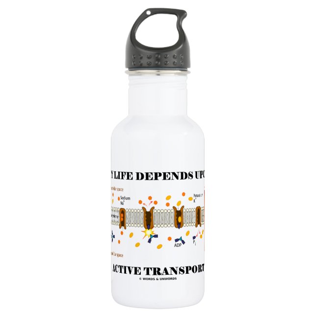 My Life Depends Upon Active Transport (Na-K Pump) 532 Ml Water Bottle (Front)