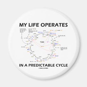 My Life Operates In A Predictable Cycle (Krebs) Magnet