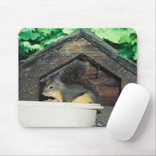 My lil' friend..... mouse pad