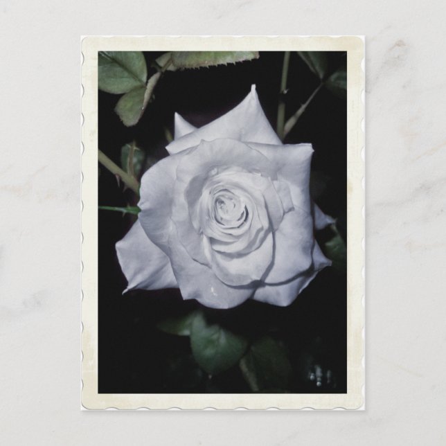 My Little Blue Princess Postcard (Front)