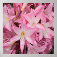 My little friend sleeping.....