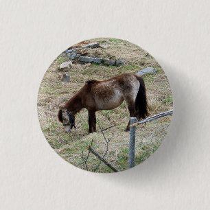 My Little Pony Button