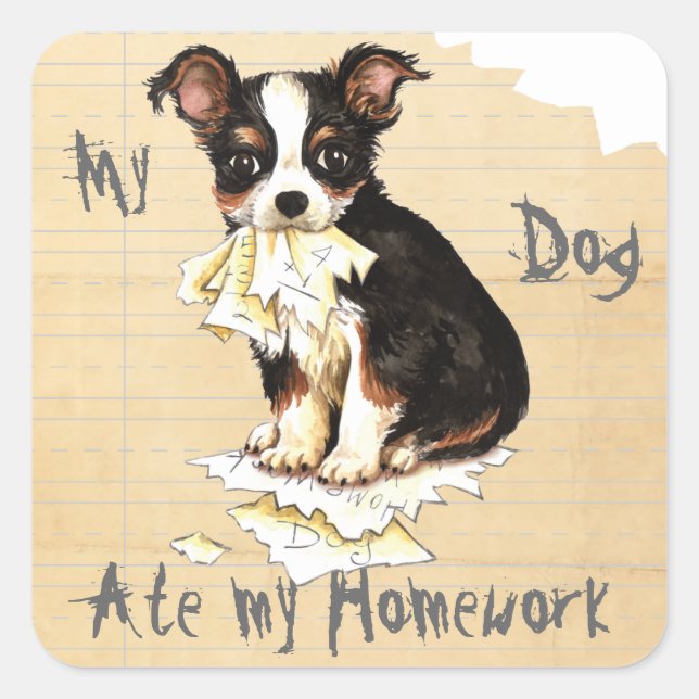 My Long Coat Chihuahua Ate My Homework Square Sticker (Front)