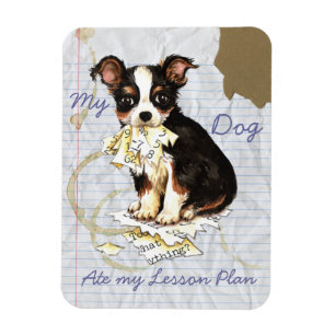 My Long Coat Chihuahua Ate My Lesson Plan Magnet
