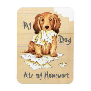My Longhaired Dachshund Ate my Homework Magnet