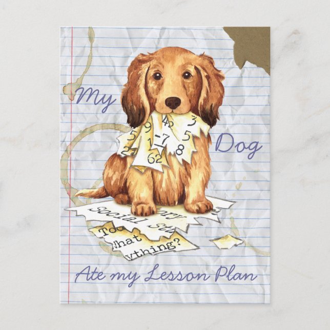 My Longhaired Dachshund Ate my Lesson Plan Postcard (Front)