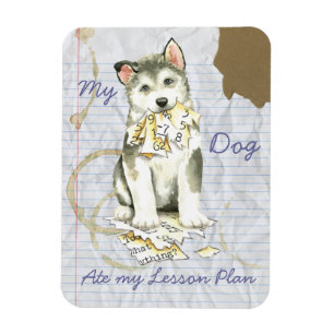 My Malemute Ate My Lesson Plan Magnet